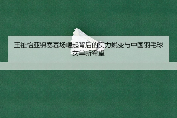 王祉怡亚锦赛赛场崛起背后的实力蜕变与中国羽毛球女单新希望